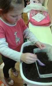 20150313_093322(1)